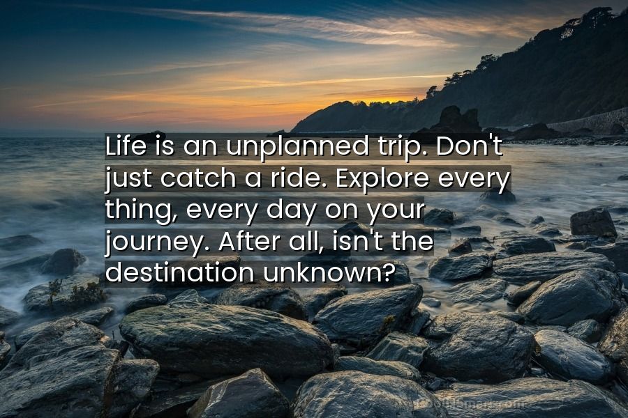 unplanned trip meaning