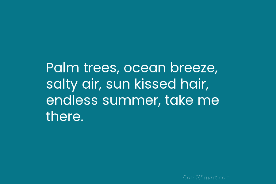 Palm trees, ocean breeze, salty air, sun kissed hair, endless summer, take me there.