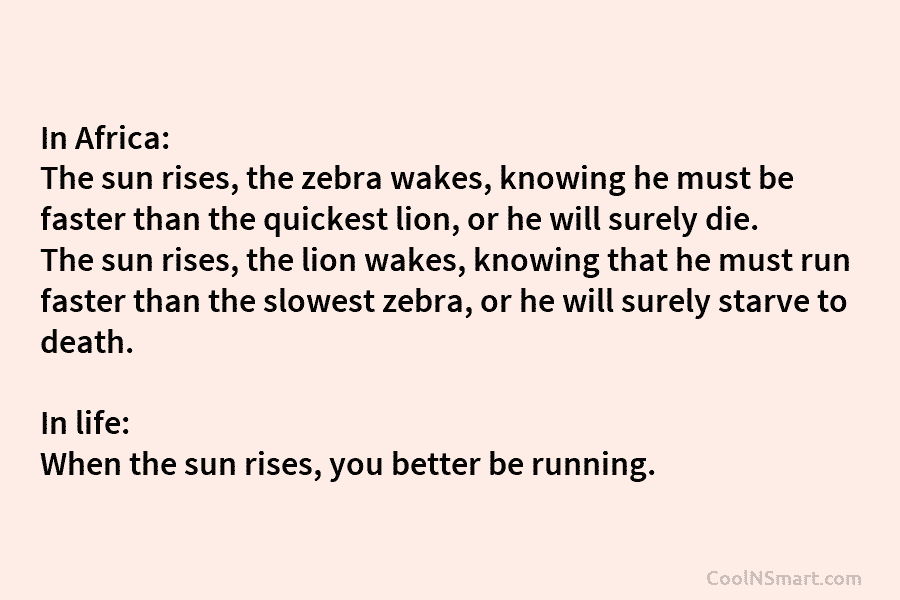 In Africa: The sun rises, the zebra wakes, knowing he must be faster than the...