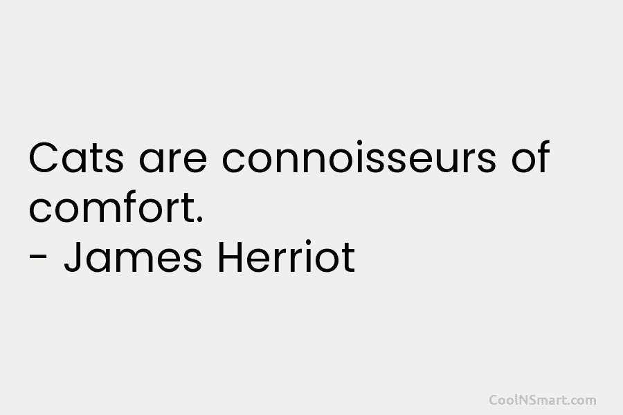 Cats are connoisseurs of comfort. – James Herriot