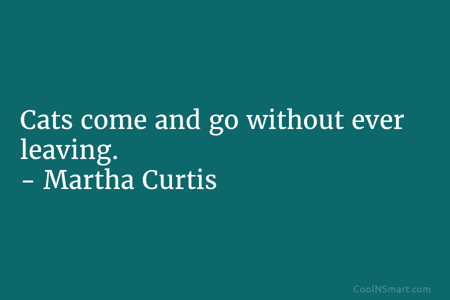 Cats come and go without ever leaving. – Martha Curtis