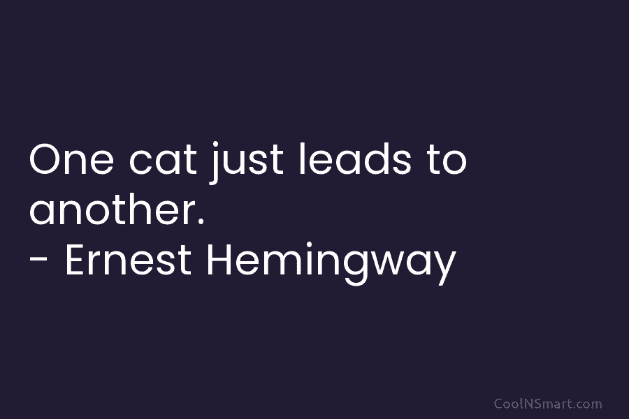 One cat just leads to another. – Ernest Hemingway