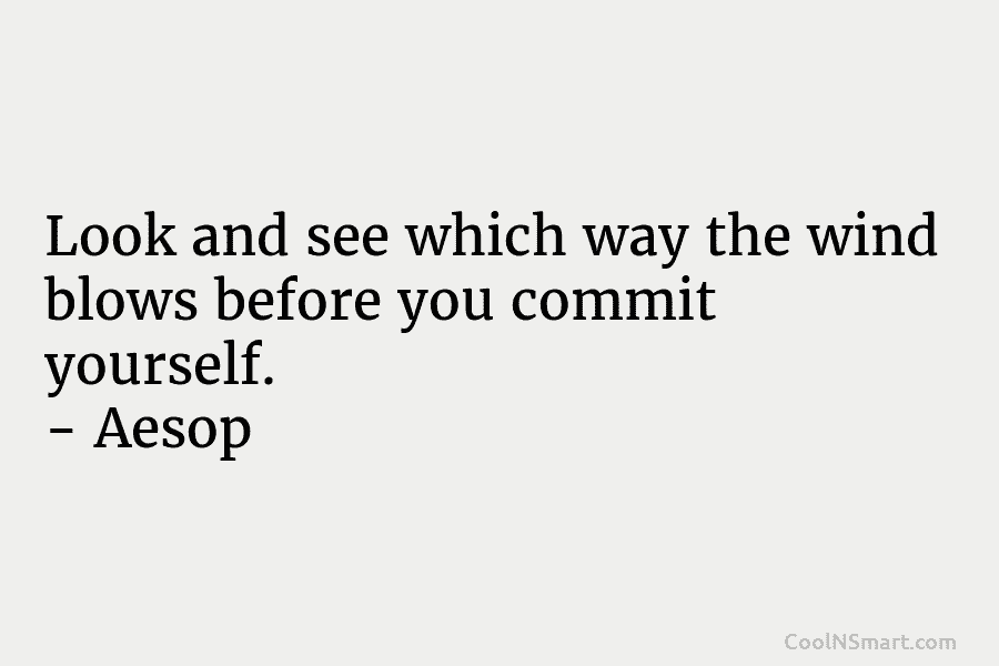 Look and see which way the wind blows before you commit yourself. – Aesop