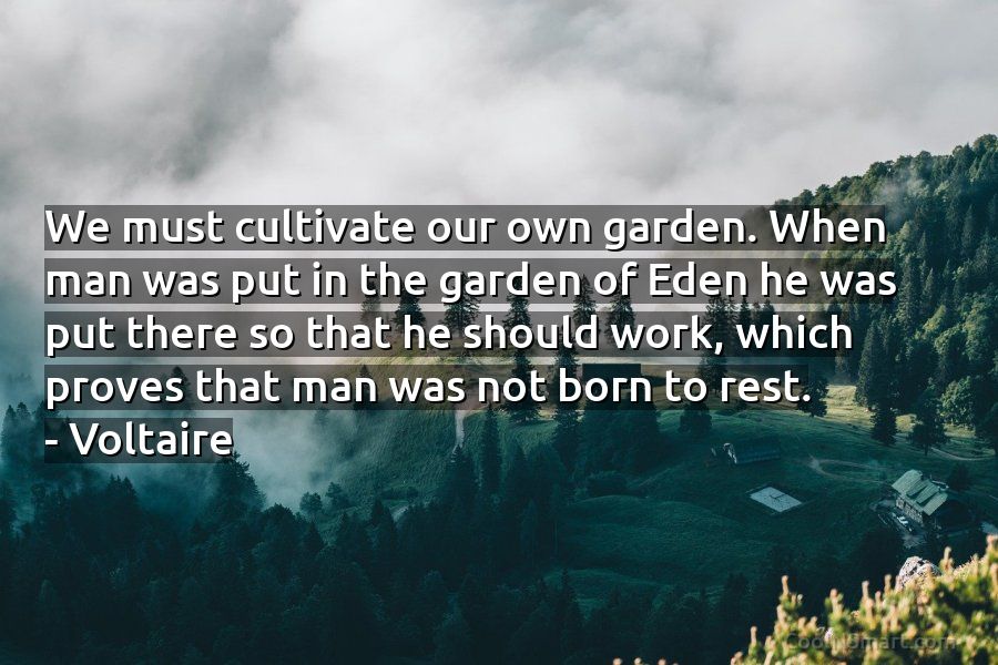we must cultivate our garden
