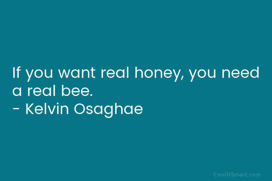 If you want real honey, you need a real bee. – Kelvin Osaghae