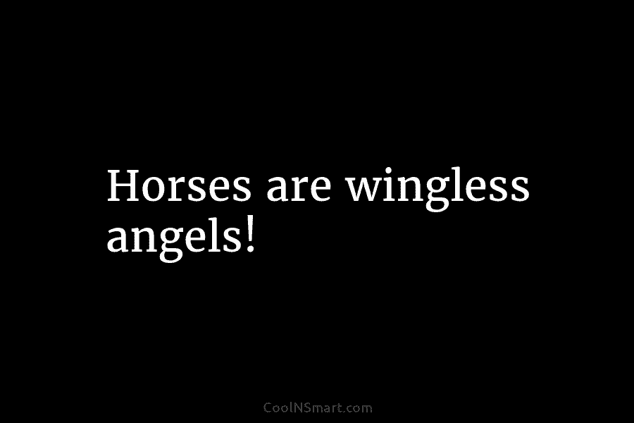 Horses are wingless angels!