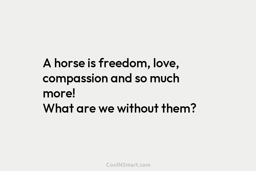 A horse is freedom, love, compassion and so much more! What are we without them?