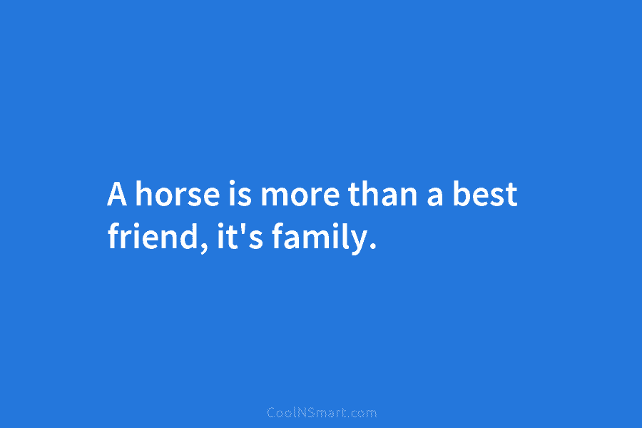 A horse is more than a best friend, it’s family.