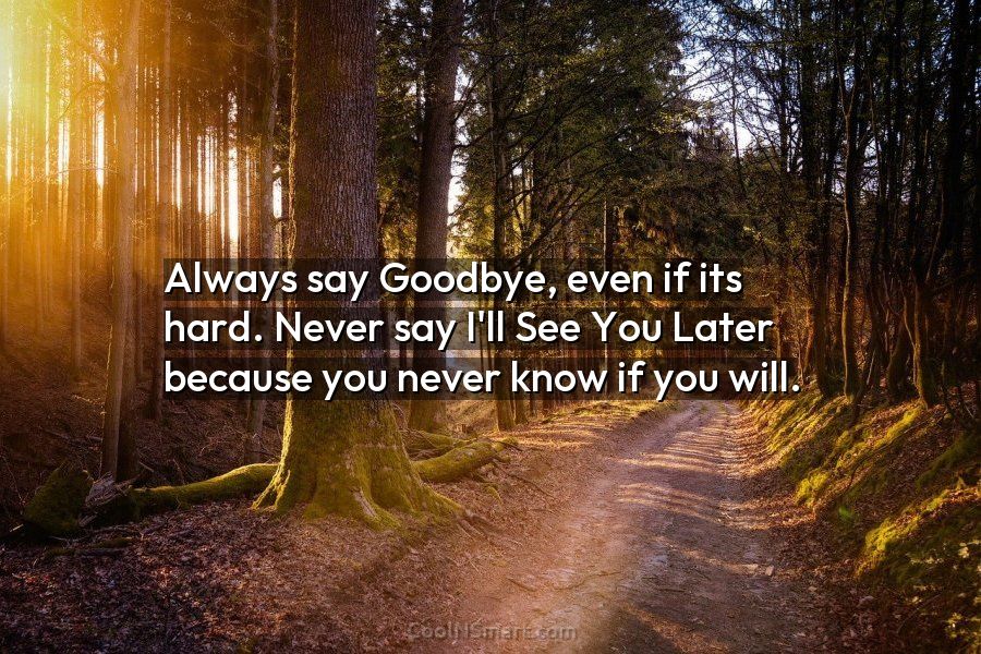 Never say goodbye, goodbye means I'll never see you again say see you later  instead because in every possible sinario see you later always applys, Quote by Kai Storm