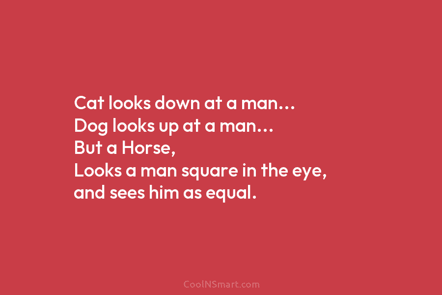 Cat looks down at a man… Dog looks up at a man… But a Horse,...