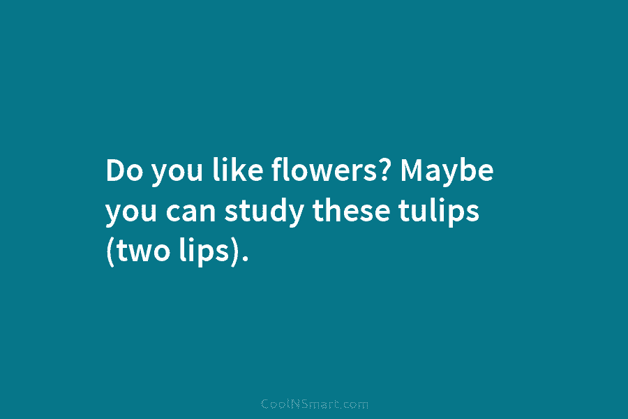 Do you like flowers? Maybe you can study these tulips (two lips).