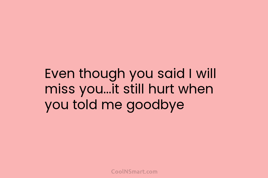 Even though you said I will miss you…it still hurt when you told me goodbye