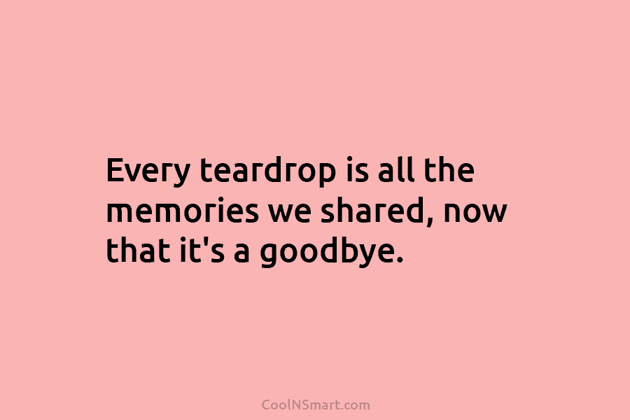 Every teardrop is all the memories we shared, now that it’s a goodbye.