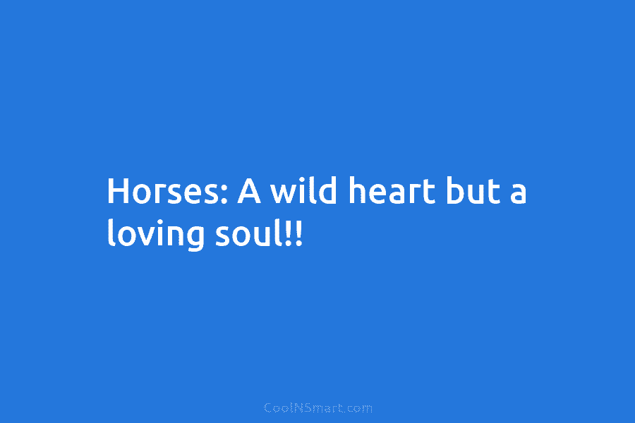 Horses: A wild heart but a loving soul!!