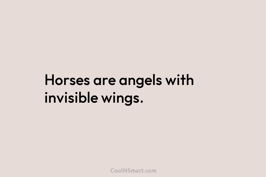 Horses are angels with invisible wings.
