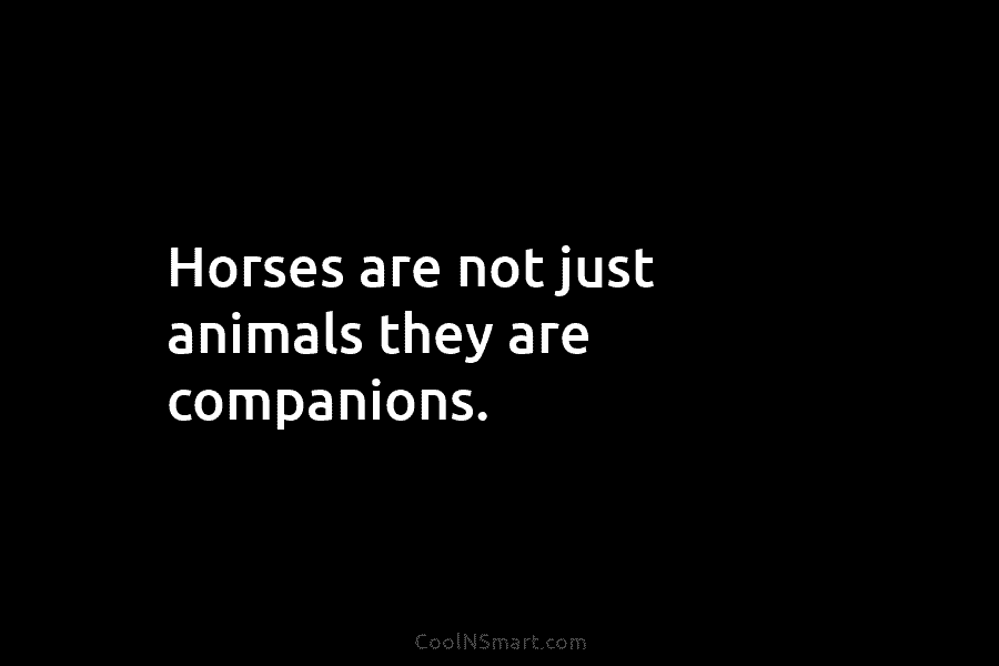 Horses are not just animals they are companions.