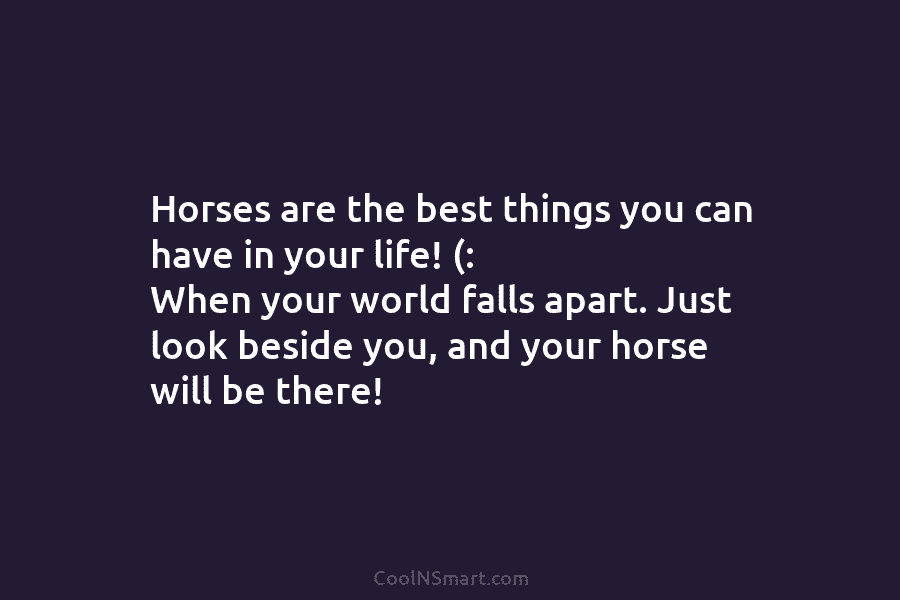 Horses are the best things you can have in your life! (: When your world falls apart. Just look beside...
