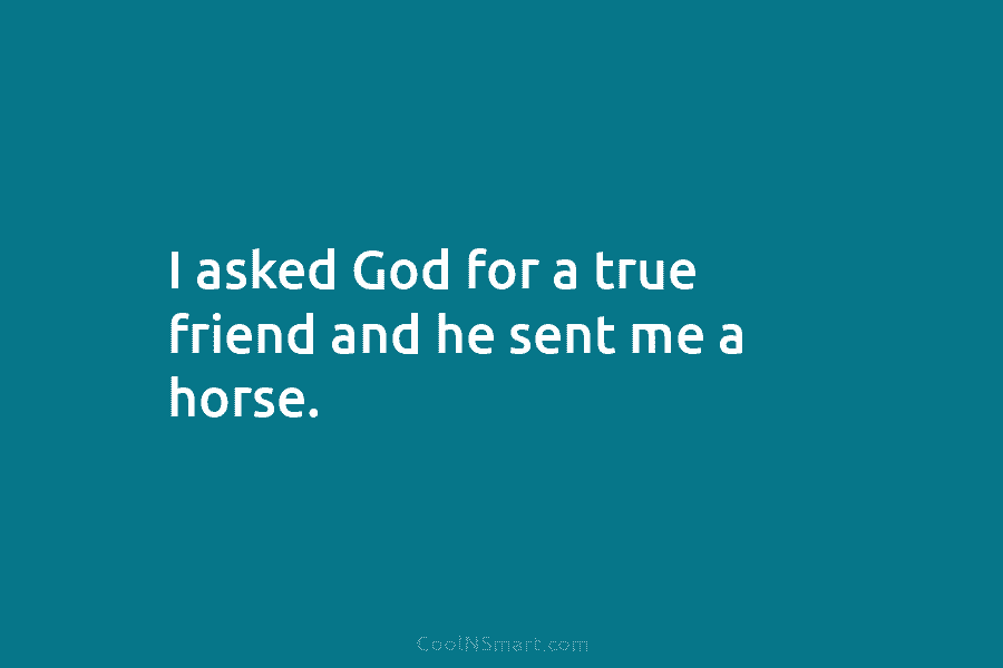 I asked God for a true friend and he sent me a horse.