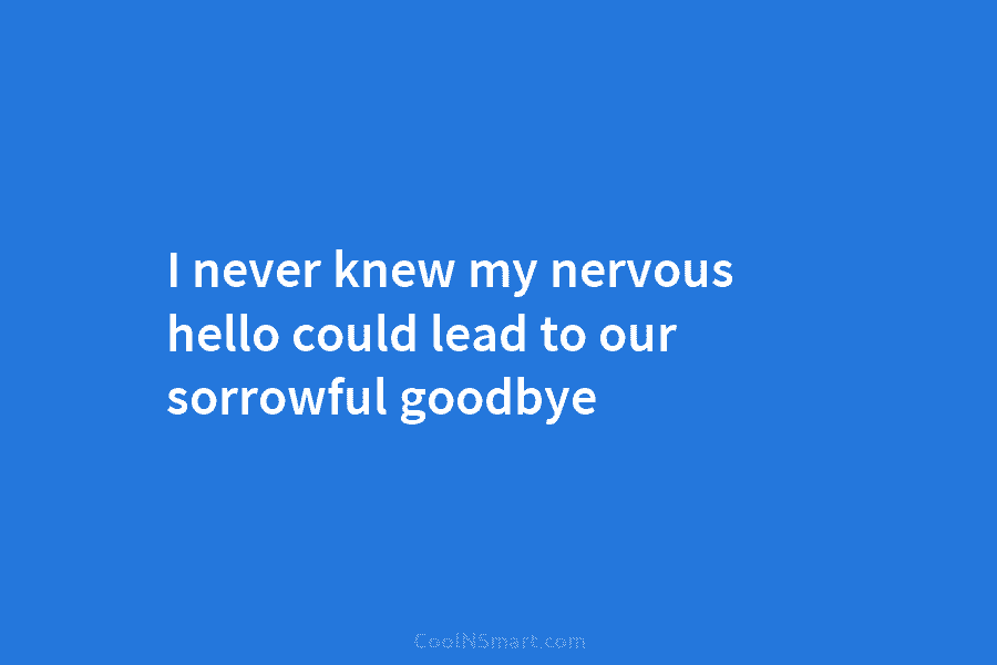 I never knew my nervous hello could lead to our sorrowful goodbye