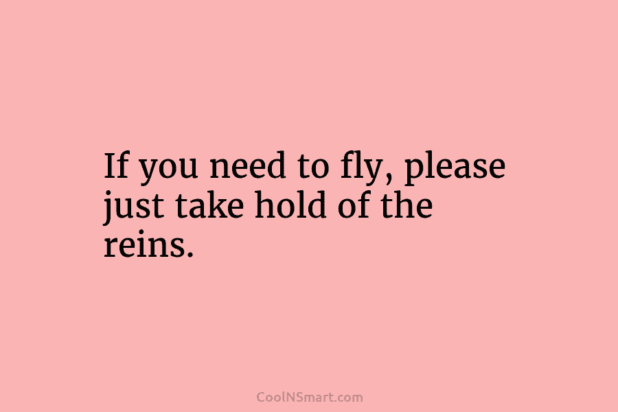 If you need to fly, please just take hold of the reins.
