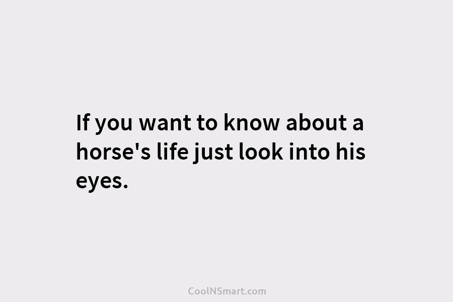 If you want to know about a horse’s life just look into his eyes.