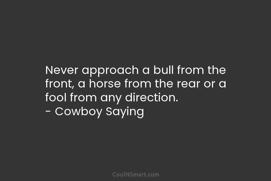 Never approach a bull from the front, a horse from the rear or a fool...