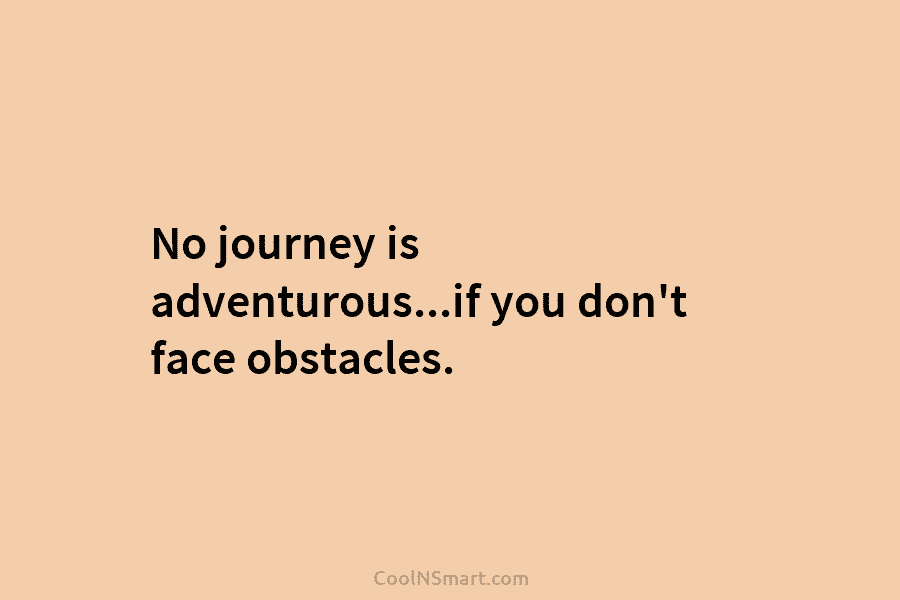No journey is adventurous…if you don’t face obstacles.