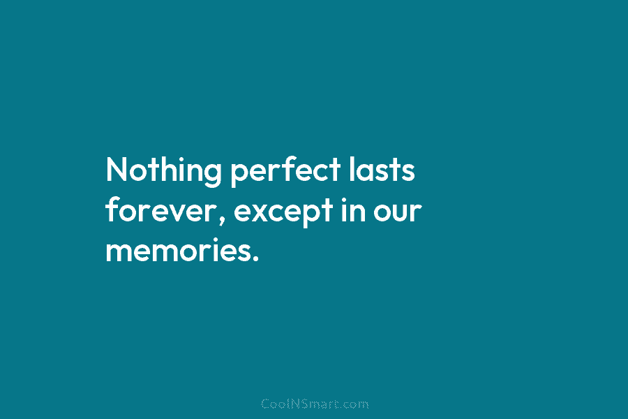 Nothing perfect lasts forever, except in our memories.