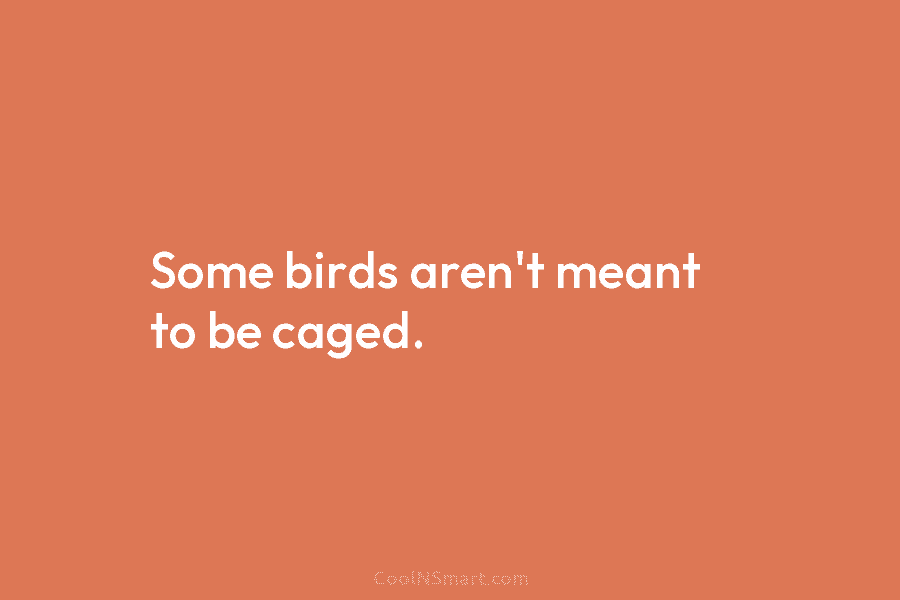 Some birds aren’t meant to be caged.