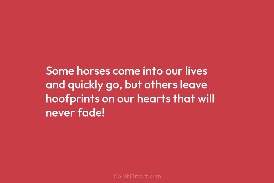 Some horses come into our lives and quickly go, but others leave hoofprints on our...