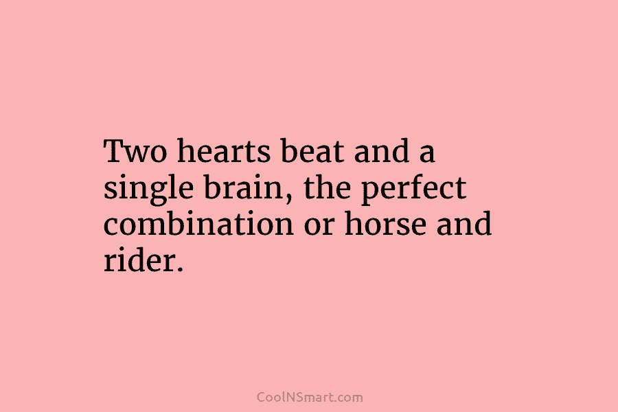 Two hearts beat and a single brain, the perfect combination or horse and rider.
