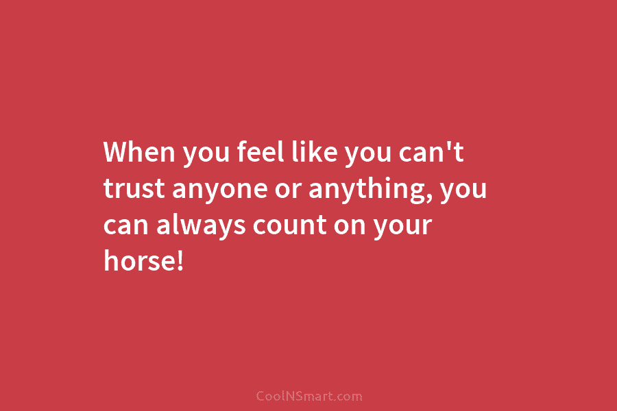 When you feel like you can’t trust anyone or anything, you can always count on your horse!
