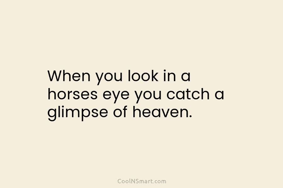 When you look in a horses eye you catch a glimpse of heaven.
