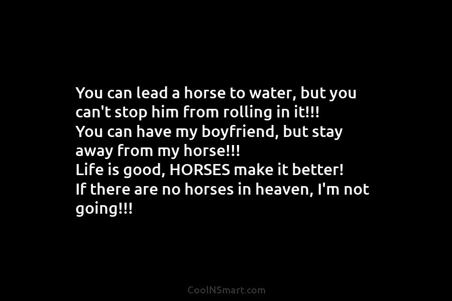 You can lead a horse to water, but you can’t stop him from rolling in...