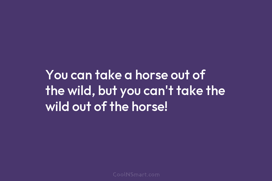 You can take a horse out of the wild, but you can’t take the wild...