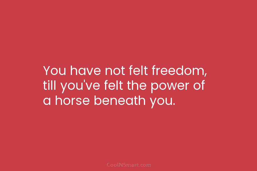 You have not felt freedom, till you’ve felt the power of a horse beneath you.