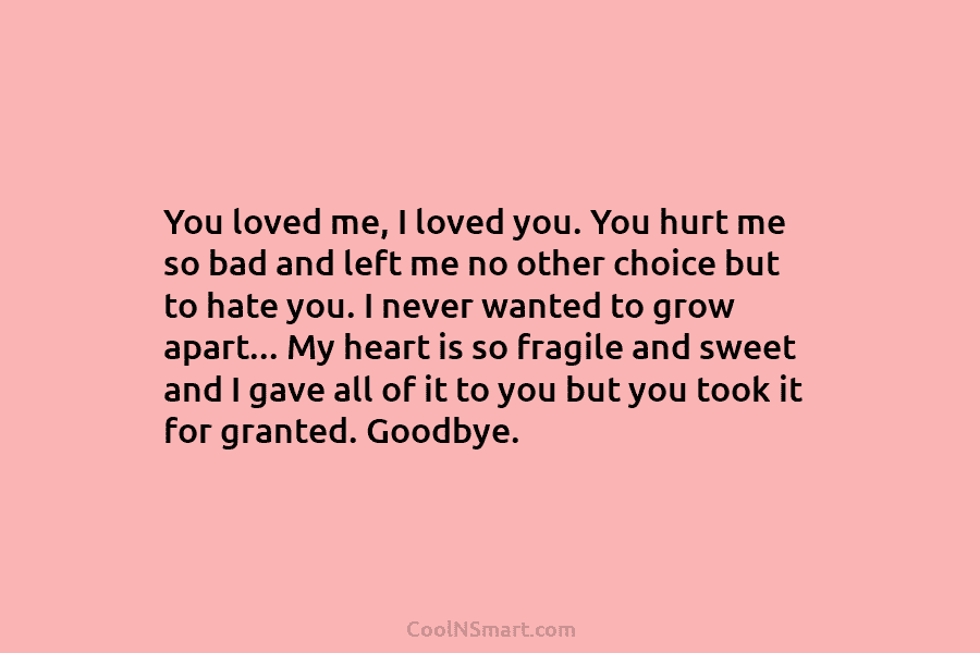 You loved me, I loved you. You hurt me so bad and left me no...