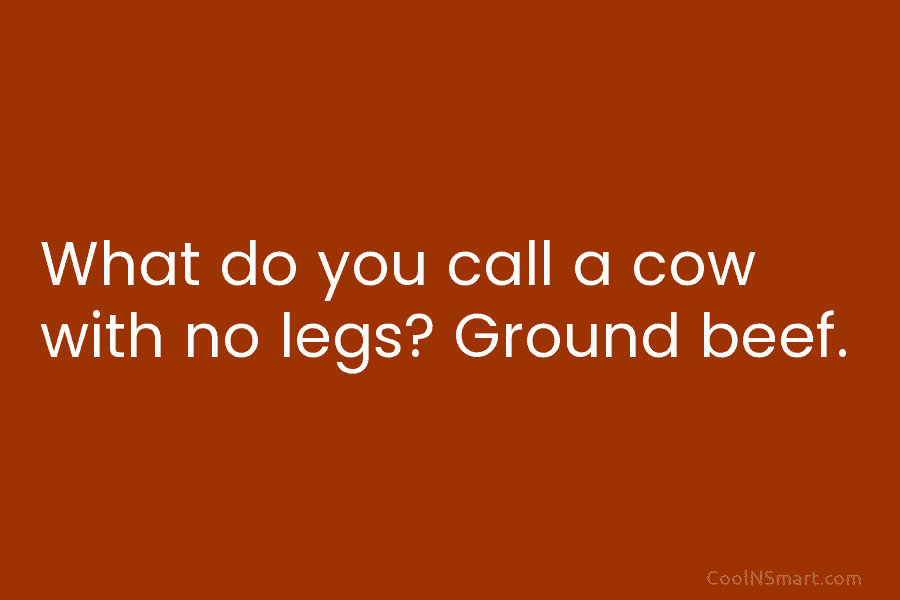 Quote: What do you call a cow with... - CoolNSmart