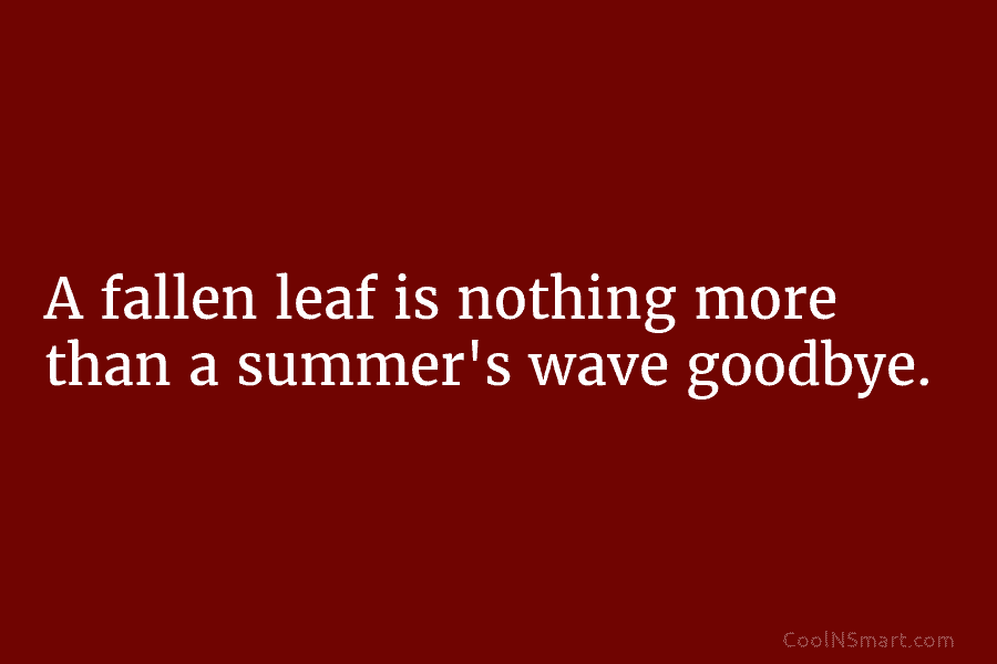 A fallen leaf is nothing more than a summer’s wave goodbye.