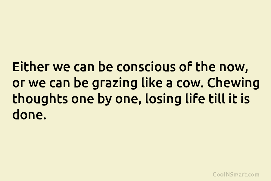 Either we can be conscious of the now, or we can be grazing like a...