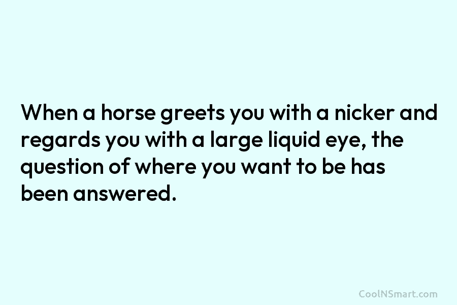 When a horse greets you with a nicker and regards you with a large liquid...