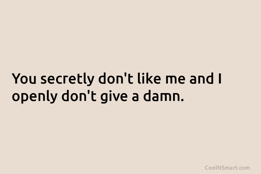 You secretly don’t like me and I openly don’t give a damn.