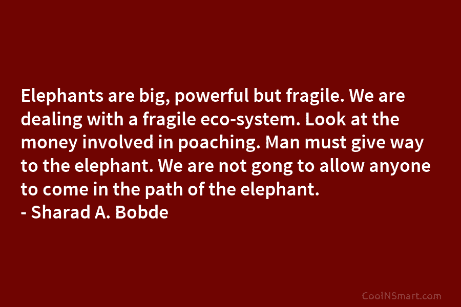 Elephants are big, powerful but fragile. We are dealing with a fragile eco-system. Look at...