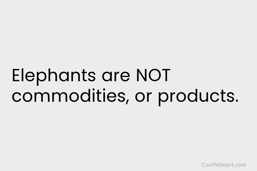 Elephants are NOT commodities, or products.