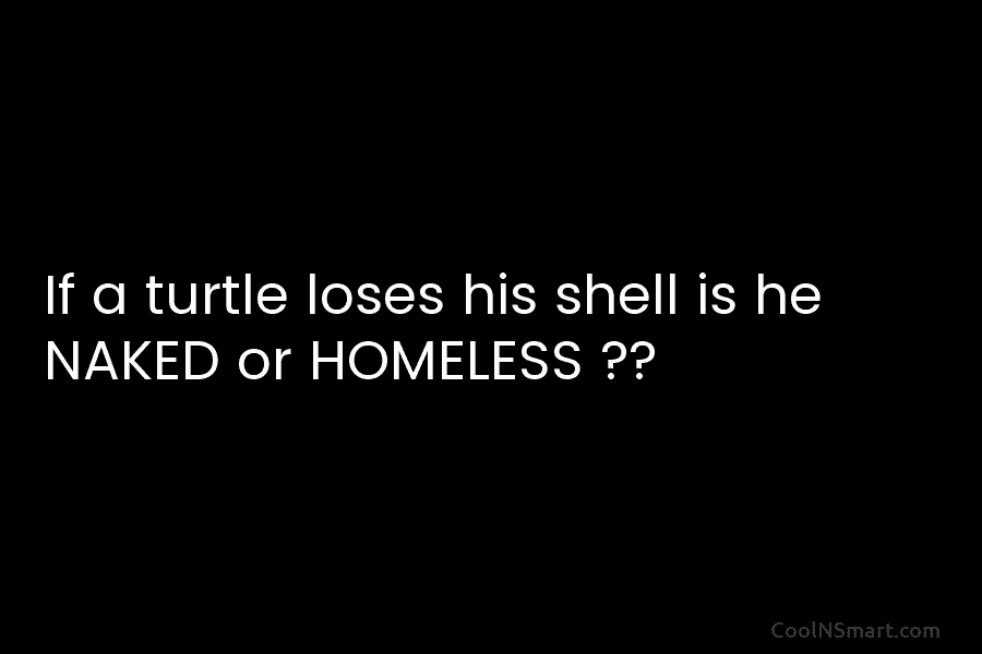 If a turtle loses his shell is he NAKED or HOMELESS ??