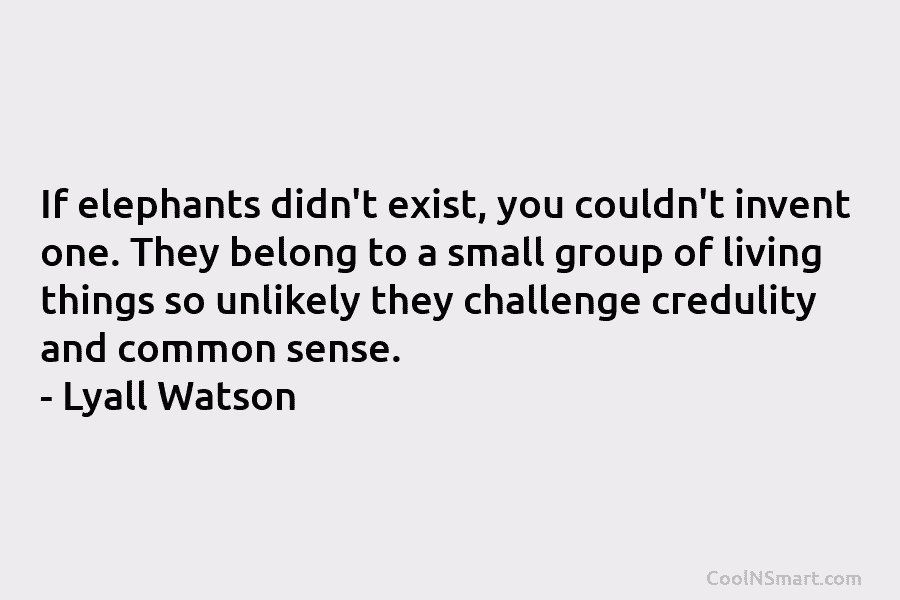 If elephants didn’t exist, you couldn’t invent one. They belong to a small group of...