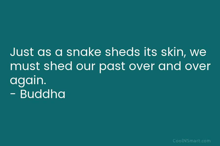 Just as a snake sheds its skin, we must shed our past over and over...