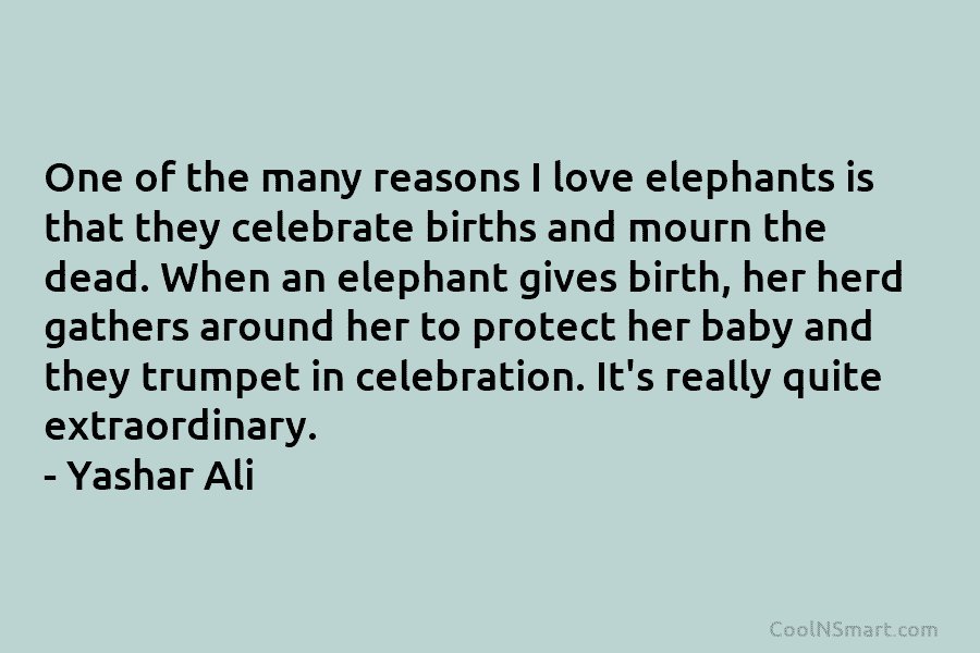 One of the many reasons I love elephants is that they celebrate births and mourn...