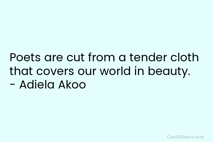 Poets are cut from a tender cloth that covers our world in beauty. – Adiela Akoo