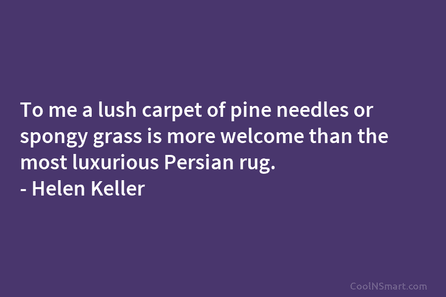 To me a lush carpet of pine needles or spongy grass is more welcome than...